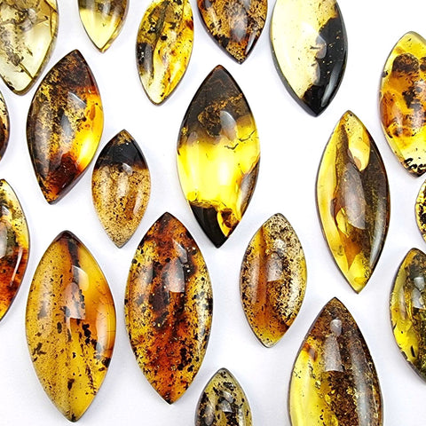 Fossil Amber Marquise Shape Cabochons