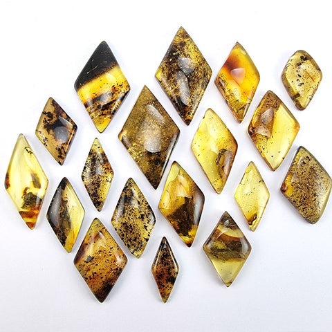 Fossil Amber Rhombus Shape Cabochons