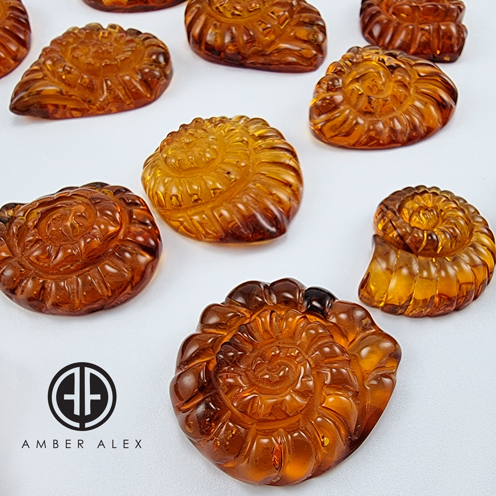 Cognac Amber Carved Ammonites Shell Cabochon