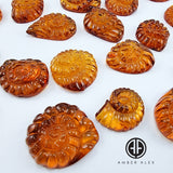 Cognac Amber Carved Ammonites Shell Cabochon