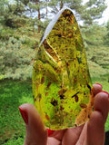 Green Amber Wave Shape Stone With Insects