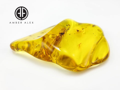 Natural Amber Wave Shape Stone With Insects