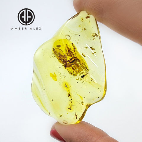 Natural Amber Wave Shape Stone With Insects