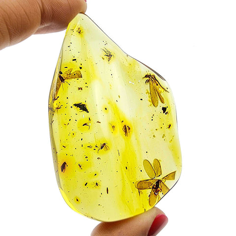 Natural Amber Wave Shape Stone With Insects