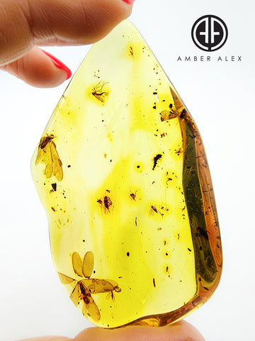 Natural Amber Wave Shape Stone With Insects