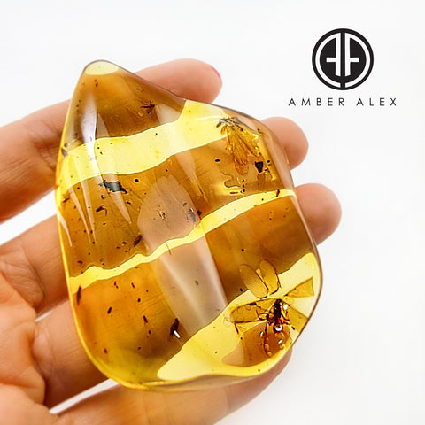 Natural Amber Wave Shape Stone With Insects