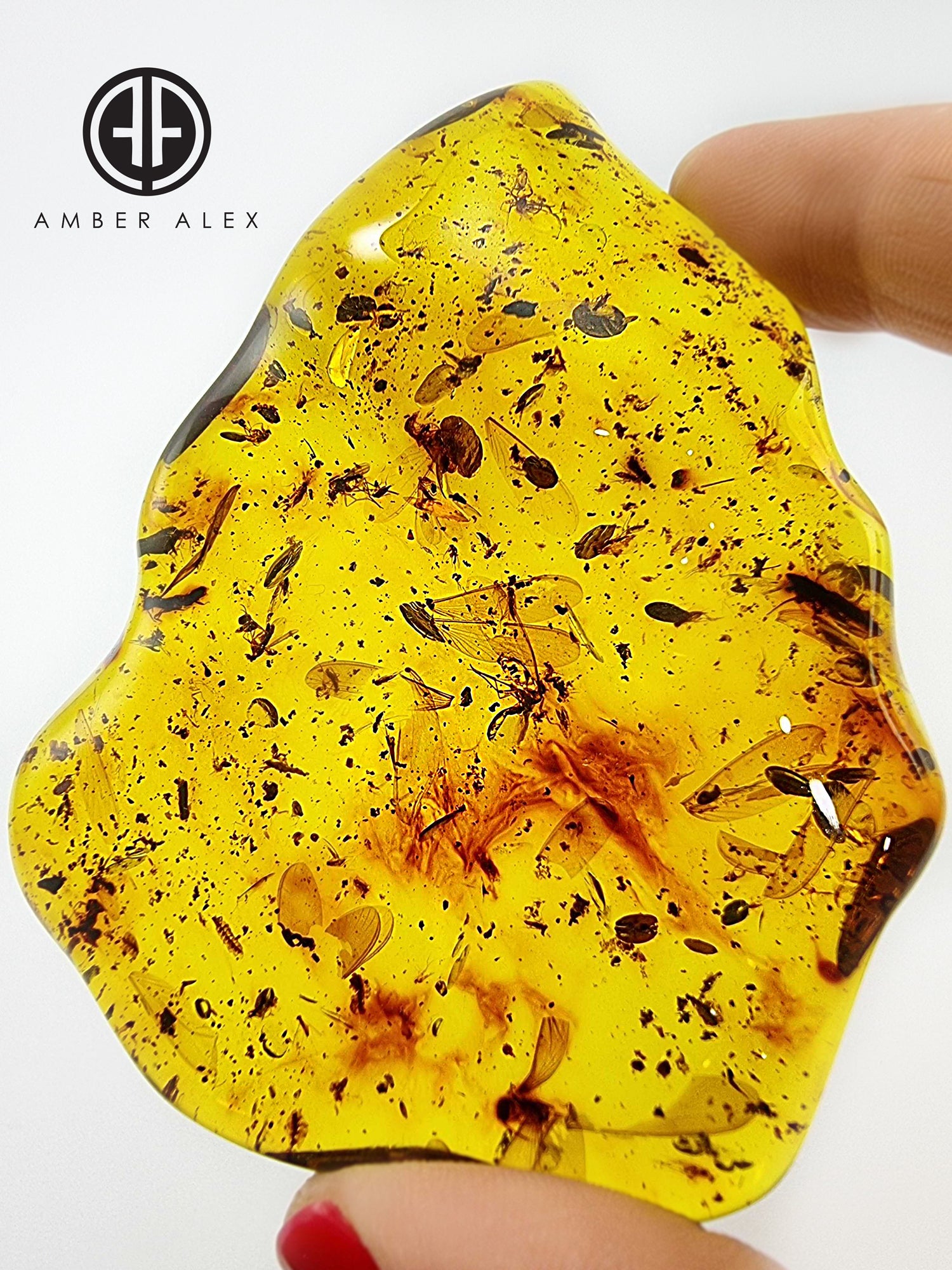 Natural Amber Wave Shape Stone With Insects