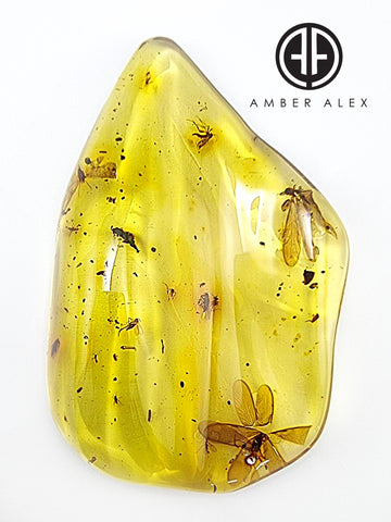 Natural Amber Wave Shape Stone With Insects