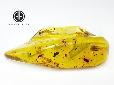 Natural Amber Wave Shape Stone With Insects