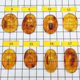 Cognac Amber Carved Bee Cabochons