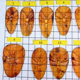 Cognac Amber Carved Dragonfly Cabochons
