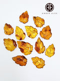 Cognac Amber Carved Leaf Cabochons