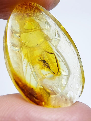 Natural Amber Carved Bee Cabochon with Insects