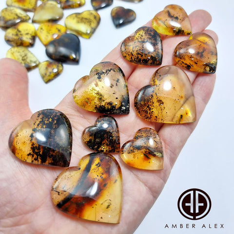 Fossil Amber Heart Shape Cabochons