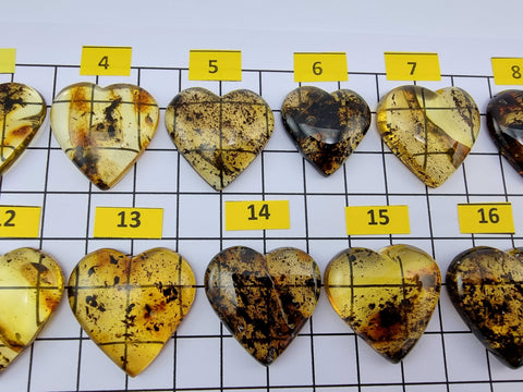 Fossil Amber Heart Shape Cabochons