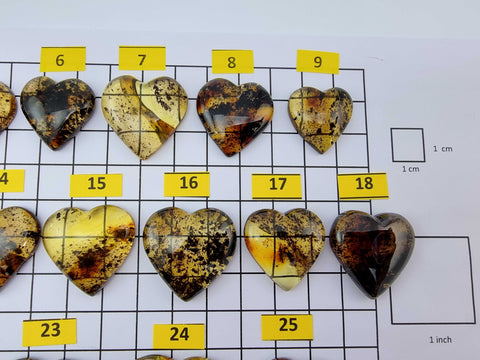 Fossil Amber Heart Shape Cabochons