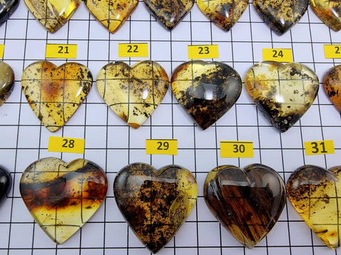 Fossil Amber Heart Shape Cabochons