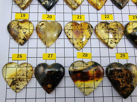 Fossil Amber Heart Shape Cabochons