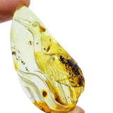 Natural Amber Carved Crane Cabochon With Insects