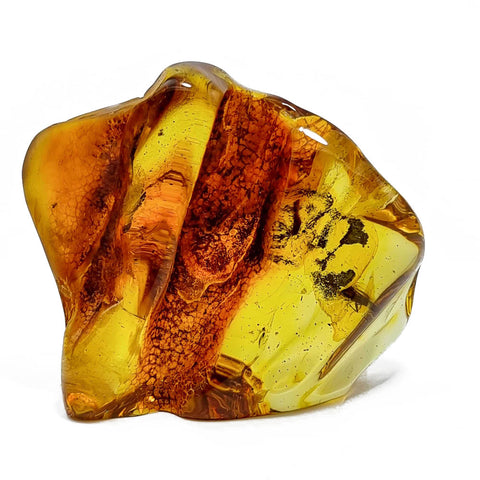 Natural Amber Free Shape Stone With Insects