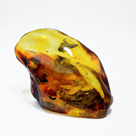 Natural Amber Free Shape Stone With Insects