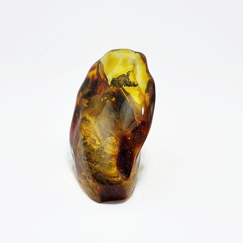 Natural Amber Free Shape Stone With Insects