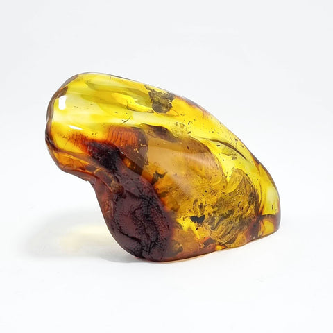 Natural Amber Free Shape Stone With Insects