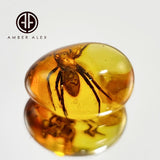 Natural Amber Free Shape Cabochon With Spider