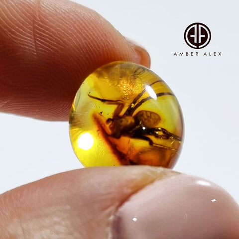 Natural Amber Free Shape Cabochon With Spider