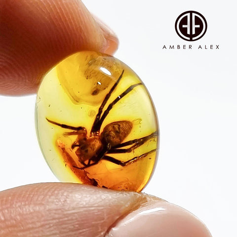 Natural Amber Free Shape Cabochon With Spider