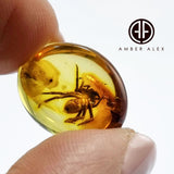 Natural Amber Free Shape Cabochon With Spider