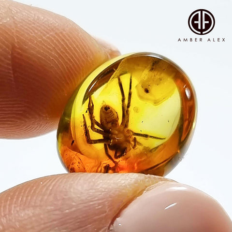 Natural Amber Free Shape Cabochon With Spider