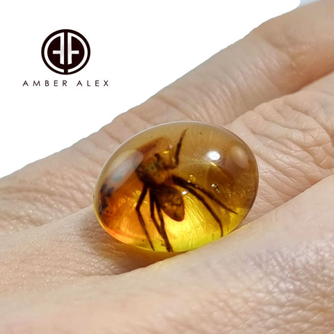 Natural Amber Free Shape Cabochon With Spider