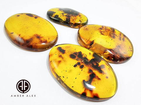 Natural Amber Free Shape Cabochons With Insects