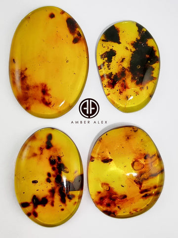 Natural Amber Free Shape Cabochons With Insects