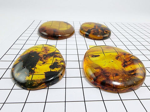 Natural Amber Free Shape Cabochons With Insects