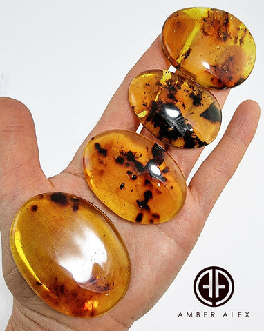 Natural Amber Free Shape Cabochons With Insects