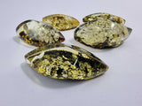 "Earth Stone" Green Amber  Marquise Shape Cabochons