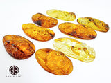 Fossil & Cognac Amber Carved Rabbits Cabochons