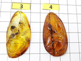 Fossil & Cognac Amber Carved Rabbits Cabochons