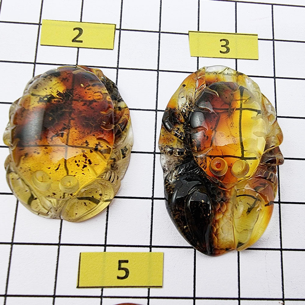 Fossil Amber Carved Crabs Cabochon