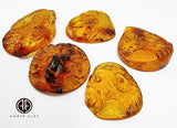 Cognac Amber Carved Aries & Goat Cabochons