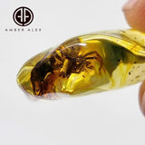 Natural Amber Wave Shape Stone With Spider