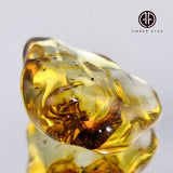 Natural Amber Wave Shape Stone With Spider