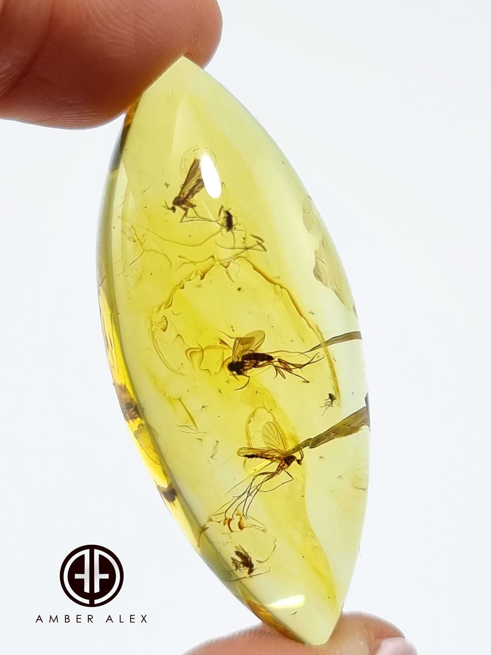 Natural Amber Marquise Cabochon With Insects