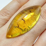 Natural Amber Marquise Cabochon With Insects