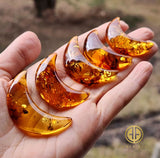 Cognac Amber Moon Shape Cabochons