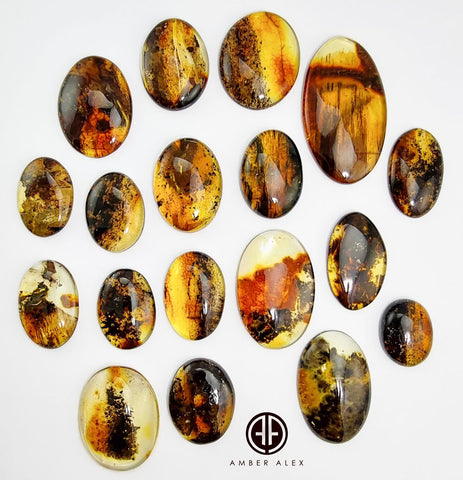 Fossil Amber Free Shape Cabochons