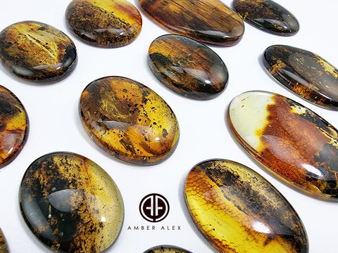 Fossil Amber Free Shape Cabochons