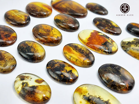 Fossil Amber Free Shape Cabochons